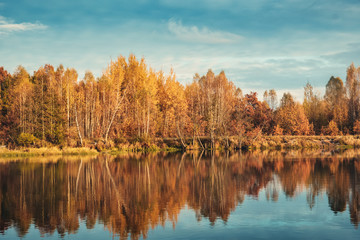 Picturesque autumn forest by the river.