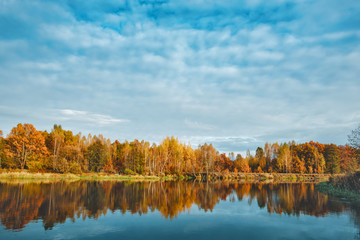 Picturesque autumn forest by the river.