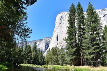 El Capitan from the bottom of the Yosemite Valley