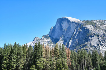 Half Dome from the bottom of the Yosemute Valley 