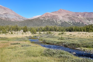 River through the Yosemite National Park area