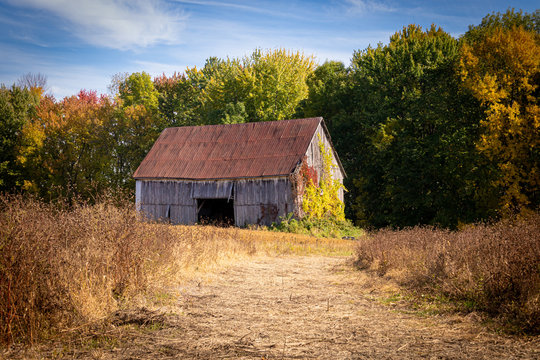 Old abandoned barn in the field autumn season landscape