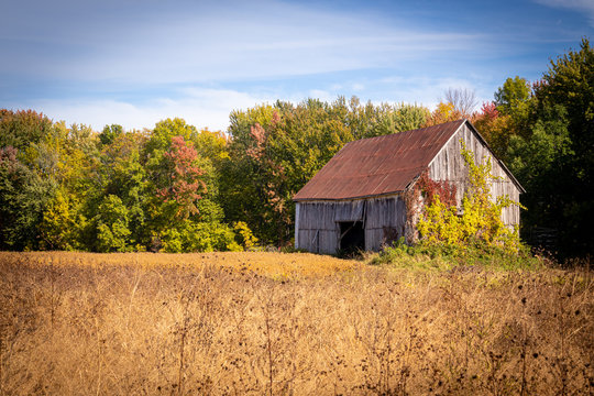Old abandoned barn in the field autumn season landscape