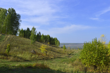 Obraz premium Summer landscape