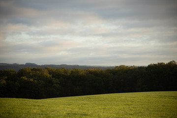 Fototapeta premium Ciel nuageux nature arbres prairie