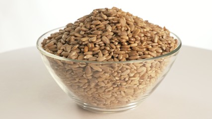 Nuts sunflower rotate are on a table in a plate. Snack in transparent dish on an isolated white background are spinning moving.