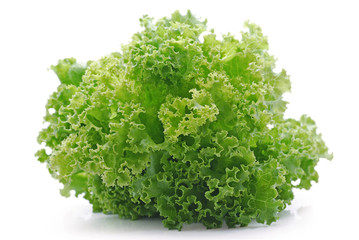 Obraz premium Fresh lettuce salad isolated on white background