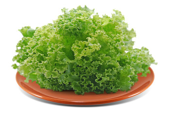 Fresh lettuce salad isolated on white background