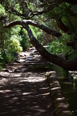 Madeira levada 25 fontes
