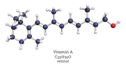 Vitamin A is a precursor of retinal, a key molecule in the chemistry of vision