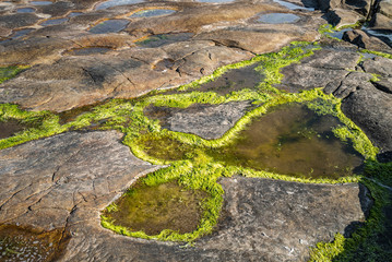 Unusual background of stones, algae and water made by nature on the ocean