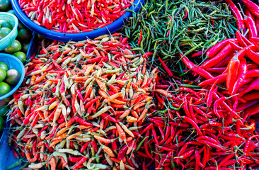 Chilli that is placed in the tray for sale on the market have used several kinds of spicy cooking Songkhla Thailand 