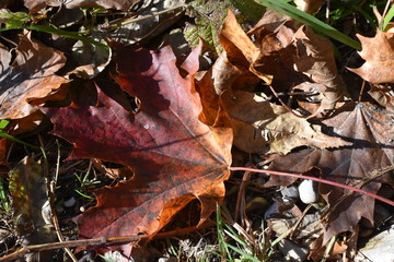 Herbstfarben
