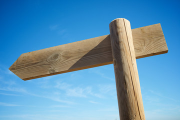 Directional signal view