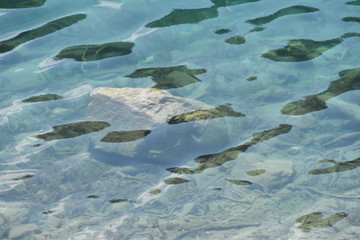 Unterwasser
