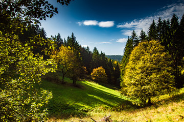 Herbst im Th&uuml;ringer Wald, Autumn