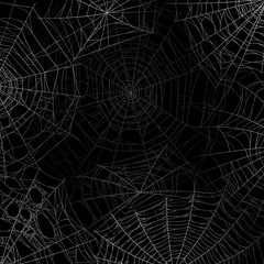 Spider web background. Spooky cobweb for halloween, black grunge poster with spider webs silhouette texture. Scary party vector design