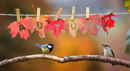 two birds chickadee and creeper sit in the garden under a banner with the word autumn carved on red...