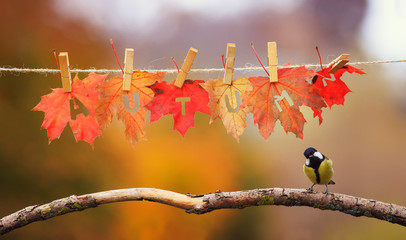 concept with bird tit stands on a branch in the garden under a banner with the word autumn carved on red maple leaves on clothespins and rope on a Sunny day