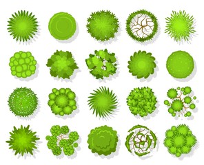Top view tree. Aerial landscape green planting, park map vegetation and tropical forest plan elements from above vector set