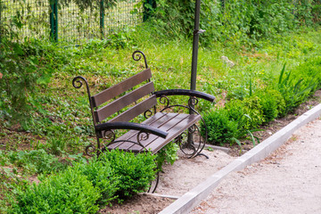 an empty bench in the morning park, amid a treadmill and trees, decorative bushes and a little banked pillar