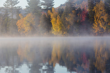 Laurentian Forest landscape in autumn, Quebec, Canda