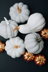pumpkins of different sizes and colors on a black background