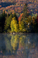 Laurentian Forest landscape in autumn, Quebec, Canda