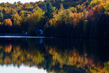 Laurentian Forest landscape in autumn, Quebec, Canda
