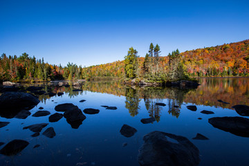 Obraz premium Laurentian Forest landscape in autumn, Quebec, Canda