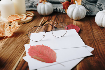 autumn set of pumpkins and dried leaves on a wooden background