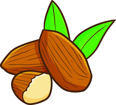 recommend clip art: Cute and funny almond with leaves in cartoon style