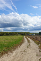 Fototapeta na wymiar Green field, dirt road. sky with clouds. Beautiful landscape