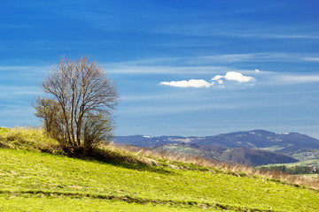 Beskid Sadecki in Spring, Poland.