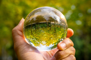 Crystal ball used as telling object. Sperical transparant glass. Paris park in the background with fall or autumn trees color