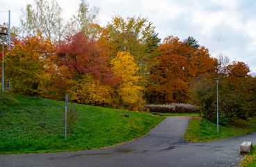 autumn in the park