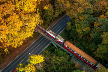 Forest train in amazing autumn colors. Bright lights, fantastic mood. Children's train in Budapest....