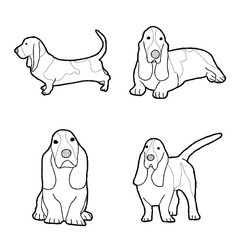 Basset Hound Animal Vector Illustration Hand Drawn Cartoon Art