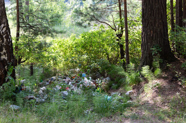 plastic waste in the forest
