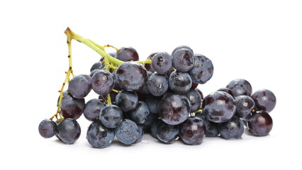 Fresh dark, black grapes isolated on white background