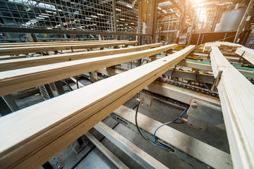 Production line of the wooden floor factory. CNC automatic woodworking machine.