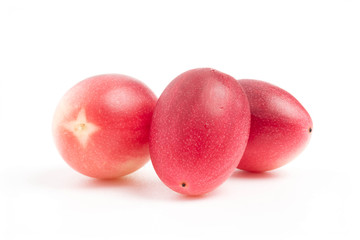Closeup carissa caranda or fresh organic karanda fruit isolated on white background, Has medicinal properties to help treat various diseases.