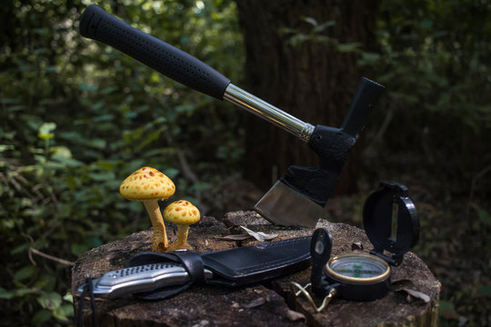 camping in the forest survival gear compass