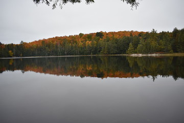 lake in autumn