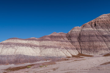 Landscape of Blue Mesa badlands in Petrified Forest National Park in Arizona