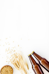 Beer background with barley on white background top view copy space