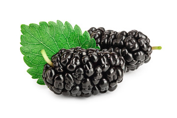 Mulberry with leaf isolated on white background