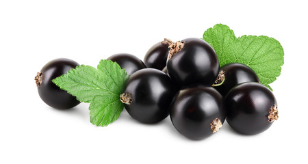 black currant with leaf isolated on white background