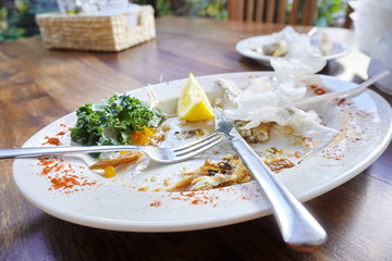 dirty plate after eating is on the table, cleaning dishes. waiting for the waiter, service. skin and bones from fish, napkins