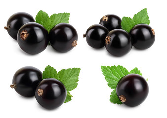Set or collection black currant with leaf isolated on white background